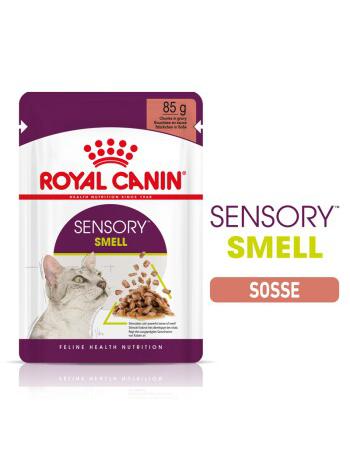 Royal Canin Sensory Smell in Soße Für Wählerische Katzen