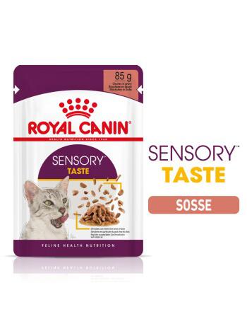 Royal Canin Sensory Taste in Soße Für Wählerische Katzen