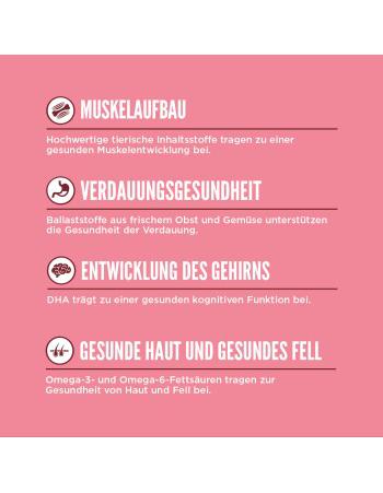 Small Breed Puppy Huhn, Truthahn & Fisch 4,5 kg