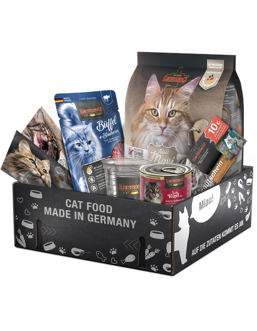 Leonardo Cat Box Adult Gf Maxi