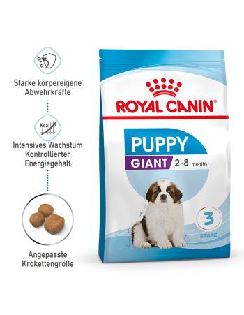 Giant Puppy 3,5 kg