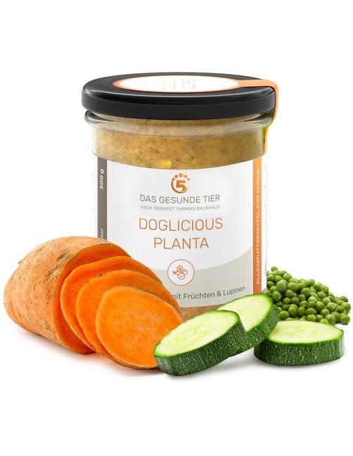 Vegetarisches Nassfutter Doglicious Planta 6 x 290 g