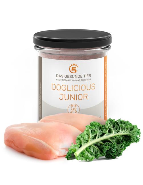 Premium Nassfutter für Welpen Doglicious Junior 6 x 290 g