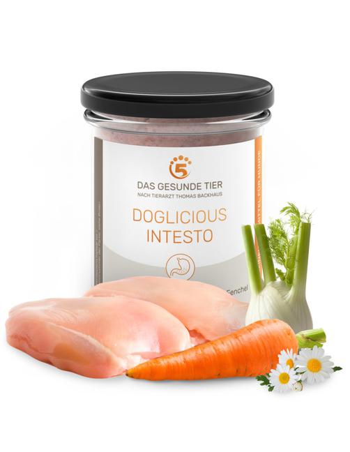 Das Gesunde Tier Premium Nassfutter Doglicious Intesto