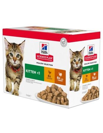 Hill's Science Plan Kitten Multipack Truthahn und Huhn