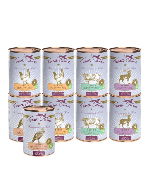 Terra Canis Senior | Kennenlernpaket L