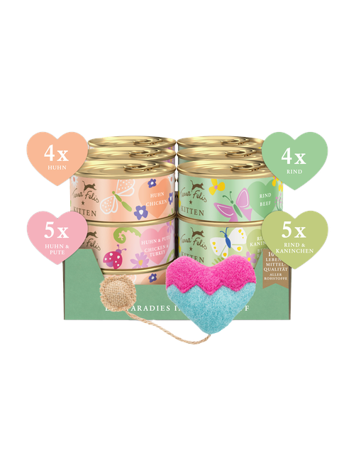 Terra Felis Kitten | Kennenlernpaket