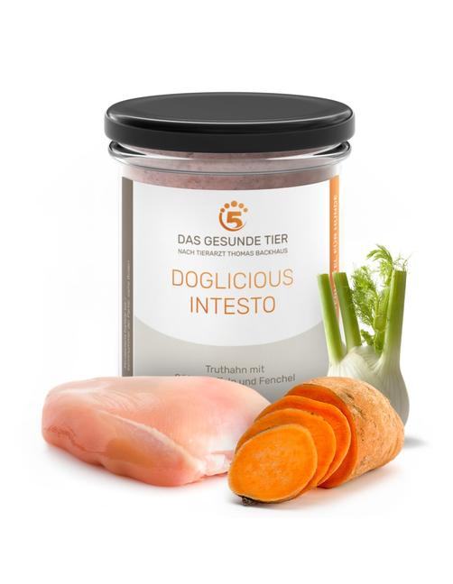 Das Gesunde Tier Schonkost Nassfutter Doglicious Intesto - Truthahn & Fenchel