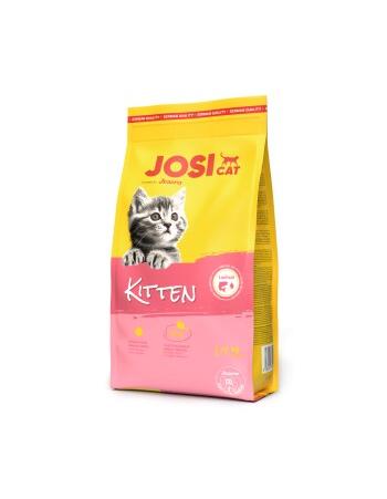 JosiCat Kitten