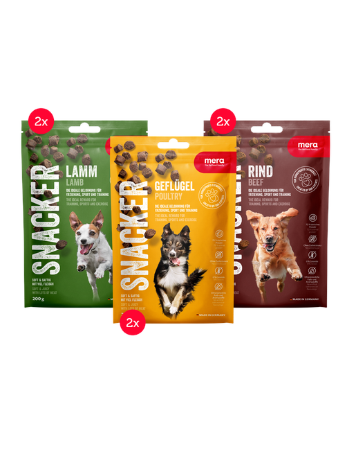 mera Snacker Mixtray