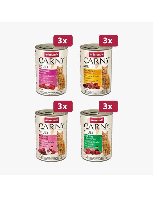 Carny Adult Kräftige Variation 12 x 400 g