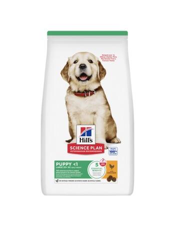 Science Plan Trockenfutter Hund, Large Breed Puppy, mit Huhn 14,5 kg