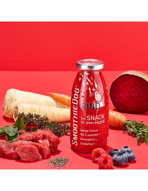 Einzelflasche Hundesmoothie Rind 450 g