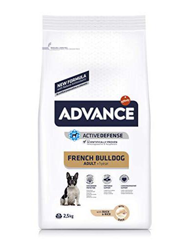 French Bulldog 2,5 kg