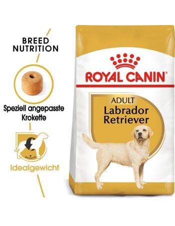 Labrador Retriever Adult 12 kg