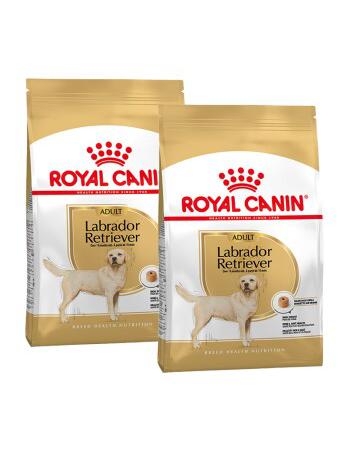Labrador Retriever Adult 2 x 12 kg