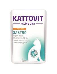 Gastro 85 g