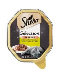 Sauce Spéciale mit Kaninchen und Gemüse in Sauce 22 x 85 g