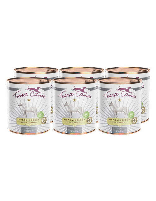 Hypoallergen | Pferd mit Topinambur 6 x 800 g