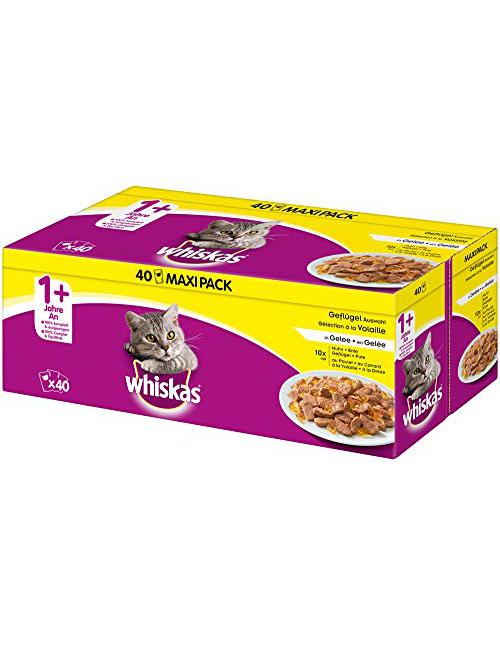 Adult in Gelee Huhn 40 x 100 g