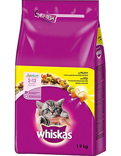 Katzentrockenfutter Junior Huhn 6 x 1,9 kg