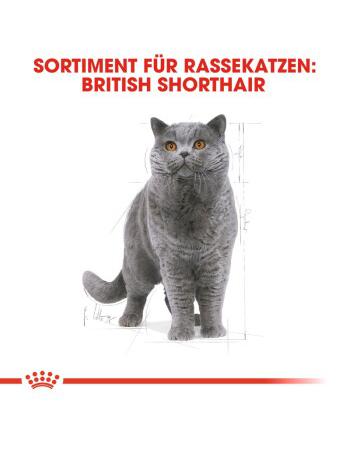 British Shorthair Adult 400 g