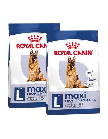 Maxi Adult 5+ 2 x 15 kg