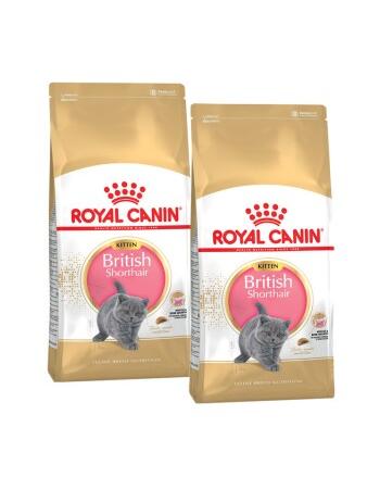 British Shorthair Kitten 2 x 10 kg
