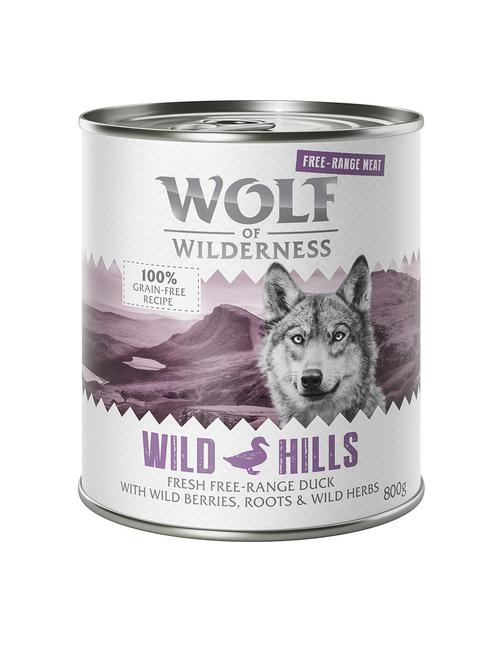 Wolf of Wilderness Wild Duck