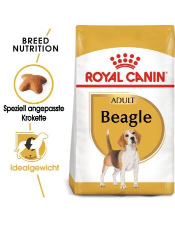 Beagle Adult 12 kg