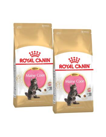 Royal Canin Maine Coon Kitten