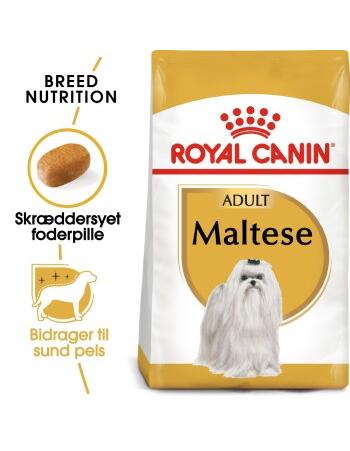 Maltese Adult 1,5 kg