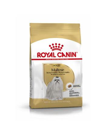 Royal Canin Maltese Adult