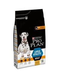 Large Athletic Dogs 2,5 kg