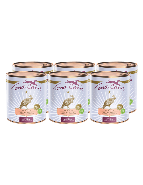 Senior | Pute mit Papaya, Brokkoli und Gesundheitskräutern 6 x 800 g