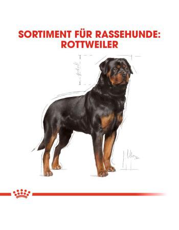 Rottweiler Adult 12 kg