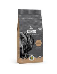 Robur 13 kg