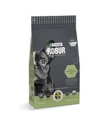 Robur 950 g