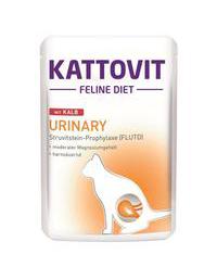 Urinary 85 g