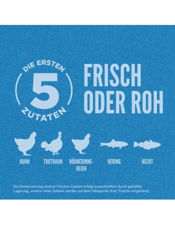 Original Adult 2 x 6 kg