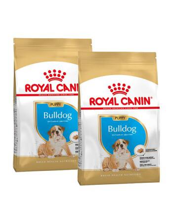 Bulldog Puppy 2 x 12 kg