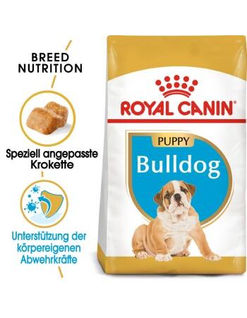 Bulldog Puppy 3 kg