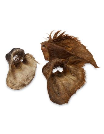 Wolf of Wilderness Snacks von Wolf of Wilderness Rinderohren mit Fell - Sparpaket