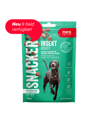 mera Snacks von mera Snacker Insekt