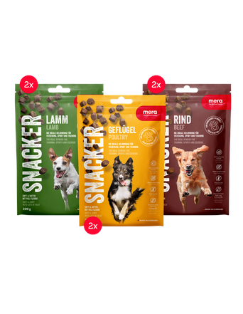 mera Snacks von mera Snacker Mixtray