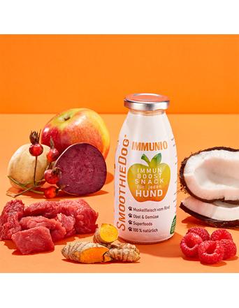 SmoothieDog Snacks von SmoothieDog Einzelflasche Hundesmoothie Immunio (Rind)