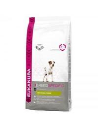 Eukanuba Jack Russel Terrier