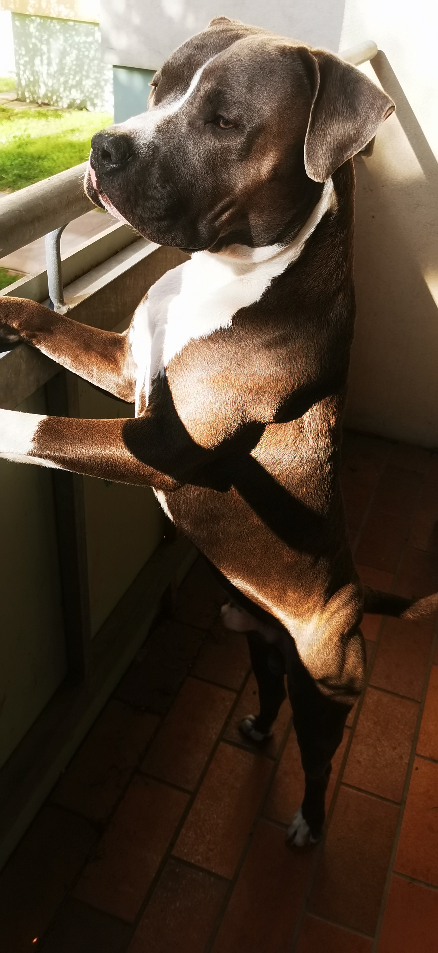 Sibel sandra - Platinum