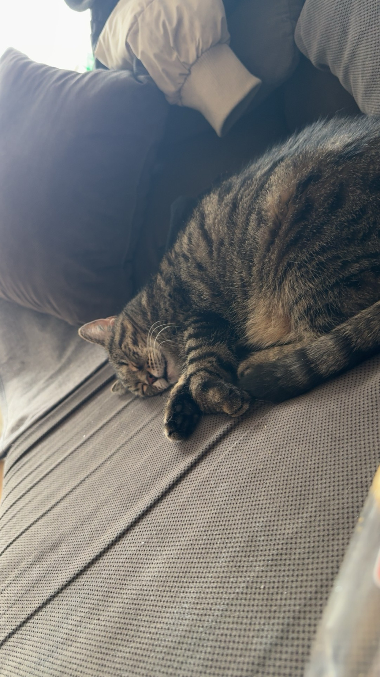 Jaqueline - Leonardo