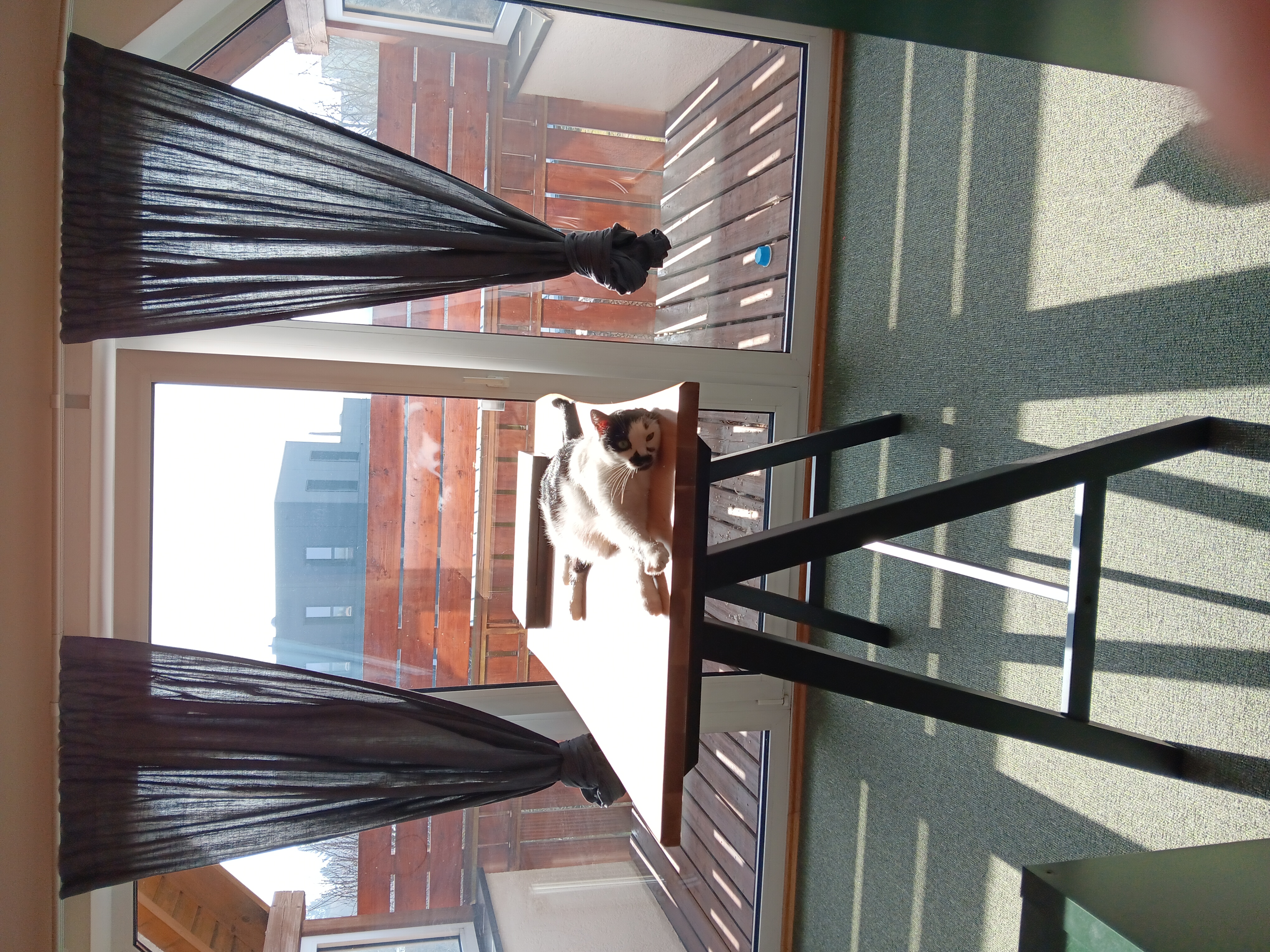 Kristin - Terra Felis